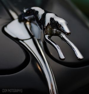 Classic-Hood-Ornament-1933-Ford