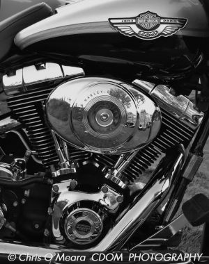 Harley-Davidson-1